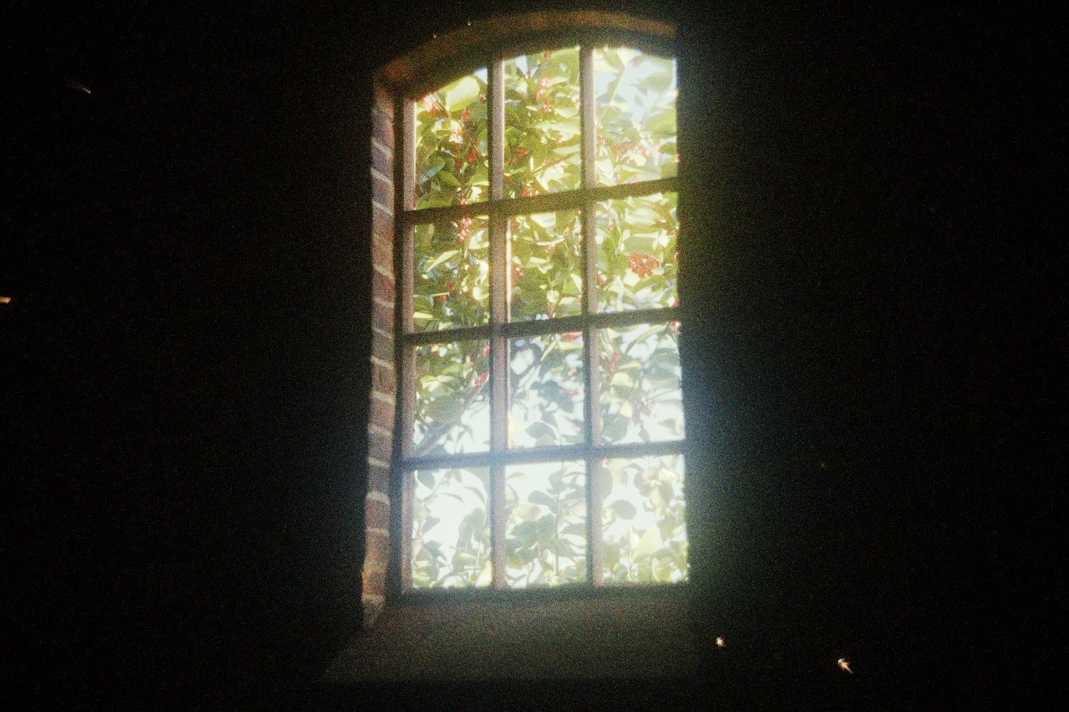 Window 2